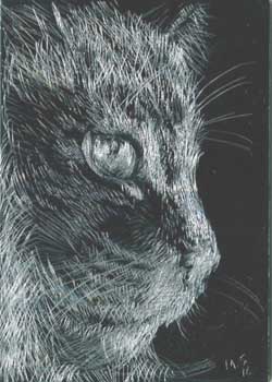 December - "Silver Tabby" by Mary B. Steinhardt, Waterford WI - Scratchboard - SOLD